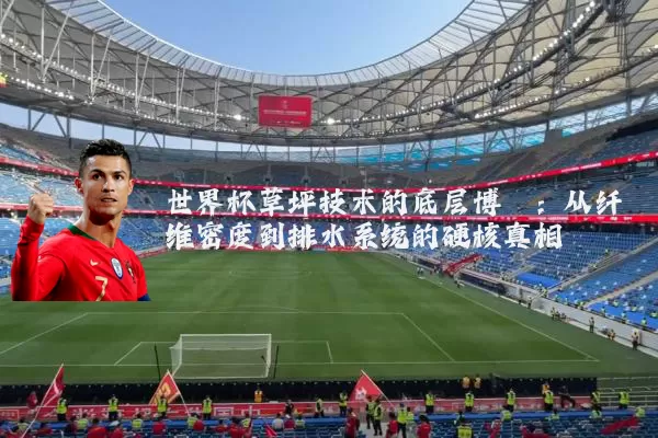 世界杯草坪技术的底层博弈：从纤维密度到排水系统的硬核真相